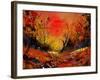 Sunset 4531-Pol Ledent-Framed Art Print