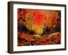 Sunset 4531-Pol Ledent-Framed Art Print