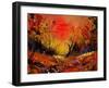 Sunset 4531-Pol Ledent-Framed Art Print