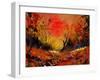 Sunset 4531-Pol Ledent-Framed Art Print