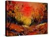 Sunset 4531-Pol Ledent-Stretched Canvas