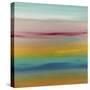 Sunset 47-Hilary Winfield-Stretched Canvas