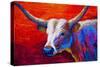 Sunset Ablaze Longhorn-Marion Rose-Stretched Canvas