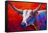 Sunset Ablaze Longhorn-Marion Rose-Framed Stretched Canvas