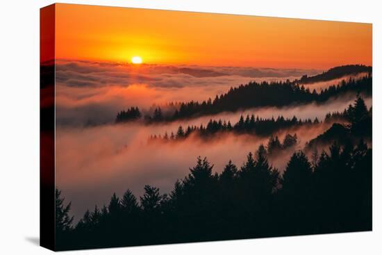 Sunset Above the Fog San Francisco Bay Area Mount Tamalpais-Vincent James-Stretched Canvas