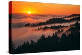 Sunset Above the Fog San Francisco Bay Area Mount Tamalpais-Vincent James-Stretched Canvas