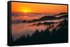 Sunset Above the Fog San Francisco Bay Area Mount Tamalpais-Vincent James-Framed Stretched Canvas