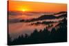 Sunset Above the Fog San Francisco Bay Area Mount Tamalpais-Vincent James-Stretched Canvas