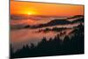 Sunset Above the Fog San Francisco Bay Area Mount Tamalpais-Vincent James-Mounted Premium Photographic Print