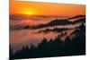 Sunset Above the Fog San Francisco Bay Area Mount Tamalpais-Vincent James-Mounted Photographic Print