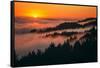 Sunset Above the Fog San Francisco Bay Area Mount Tamalpais-Vincent James-Framed Stretched Canvas