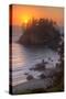 Sunset Above Trinidad State Beach California Coast-Vincent James-Stretched Canvas