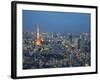 Sunset Aerial of Downtown Including Tokyo Tower and Rainbow Bridge, Tokyo, Japan-Josh Anon-Framed Photographic Print