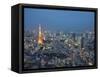 Sunset Aerial of Downtown Including Tokyo Tower and Rainbow Bridge, Tokyo, Japan-Josh Anon-Framed Stretched Canvas