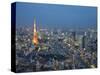 Sunset Aerial of Downtown Including Tokyo Tower and Rainbow Bridge, Tokyo, Japan-Josh Anon-Stretched Canvas