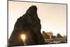 Sunset along sea stacks on Ruby Beach in Olympic National Park, Washington State, USA-Chuck Haney-Mounted Photographic Print