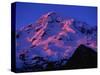 Sunset Alpenglow on Mount Rainier-Paul Souders-Stretched Canvas
