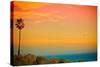 Sunset and Birds-Lantern Press-Stretched Canvas