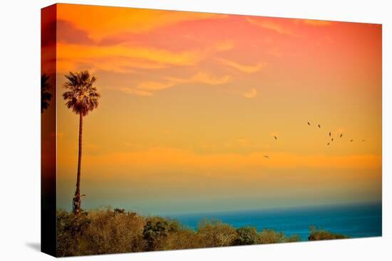 Sunset and Birds-Lantern Press-Stretched Canvas