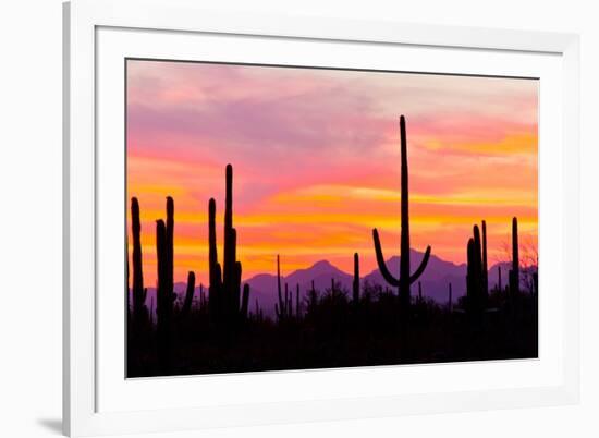 Sunset and Cactus Photograph-Lantern Press-Framed Art Print