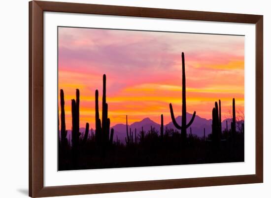 Sunset and Cactus Photograph-Lantern Press-Framed Art Print