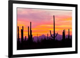 Sunset and Cactus Photograph-Lantern Press-Framed Art Print