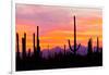 Sunset and Cactus Photograph-Lantern Press-Framed Art Print