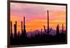 Sunset and Cactus Photograph-Lantern Press-Framed Art Print