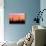 Sunset and Cactus Photograph-Lantern Press-Stretched Canvas displayed on a wall