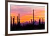 Sunset and Cactus Photograph-Lantern Press-Framed Premium Giclee Print