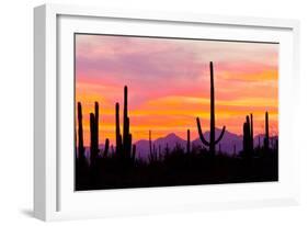 Sunset and Cactus Photograph-Lantern Press-Framed Art Print