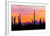 Sunset and Cactus Photograph-Lantern Press-Framed Art Print