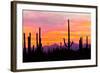 Sunset and Cactus Photograph-Lantern Press-Framed Art Print