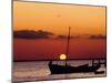 Sunset and Fishing Boats, Isla Mujeres, Mexico-Chris Rogers-Mounted Premium Photographic Print