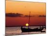 Sunset and Fishing Boats, Isla Mujeres, Mexico-Chris Rogers-Mounted Photographic Print