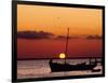 Sunset and Fishing Boats, Isla Mujeres, Mexico-Chris Rogers-Framed Photographic Print