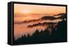 Sunset and Fog Mount Tamalpais San Francisco-Vincent James-Framed Stretched Canvas