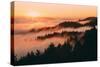 Sunset and Fog Mount Tamalpais San Francisco-Vincent James-Stretched Canvas