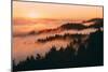 Sunset and Fog Mount Tamalpais San Francisco-Vincent James-Mounted Photographic Print