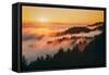 Sunset and Magical Fog Mount Tamalpais San Francisco-Vincent James-Framed Stretched Canvas