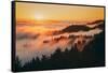 Sunset and Magical Fog Mount Tamalpais San Francisco-Vincent James-Framed Stretched Canvas