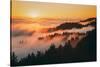 Sunset and Magical Fog Mount Tamalpais San Francisco-Vincent James-Stretched Canvas