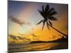 Sunset and Palm Tree and the Western Point of the South Coast Surf Beach at Mirissa, Near Matara, S-Robert Francis-Mounted Photographic Print