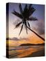 Sunset and Palm Tree and the Western Point of the South Coast Surf Beach at Mirissa, Near Matara, S-Robert Francis-Stretched Canvas