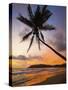 Sunset and Palm Tree and the Western Point of the South Coast Surf Beach at Mirissa, Near Matara, S-Robert Francis-Stretched Canvas