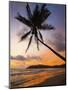 Sunset and Palm Tree and the Western Point of the South Coast Surf Beach at Mirissa, Near Matara, S-Robert Francis-Mounted Photographic Print
