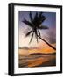 Sunset and Palm Tree and the Western Point of the South Coast Surf Beach at Mirissa, Near Matara, S-Robert Francis-Framed Photographic Print