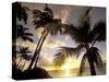 Sunset and Palm Tree, Kihei Beach, Maui, Hawaii, USA-Darrell Gulin-Stretched Canvas