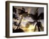 Sunset and Palm Tree, Kihei Beach, Maui, Hawaii, USA-Darrell Gulin-Framed Premium Photographic Print