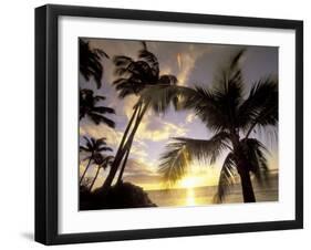 Sunset and Palm Tree, Kihei Beach, Maui, Hawaii, USA-Darrell Gulin-Framed Premium Photographic Print